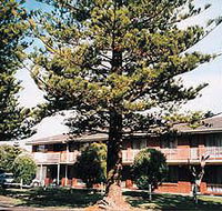 Eastern Beach Holiday Units - Hotel WA