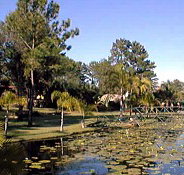 Twin Lakes Hotel - Hotel WA