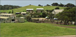 Cape Schanck VIC Hotel WA