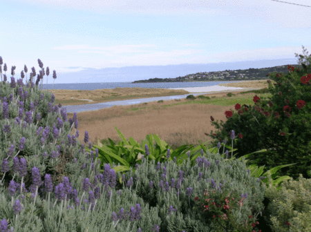 A Great Ocean View Motel - Hotel WA 2