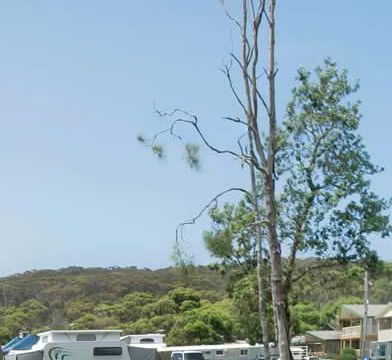 Merry Beach Caravan Park - Hotel WA 2