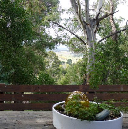 Pilot Wilderness NSW Hotel WA