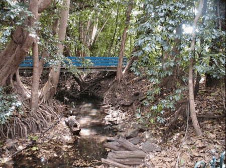 Rainforest Grove Holiday Resort - Hotel WA 3