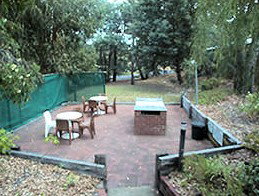 Collie Forest Motel - Hotel WA 4