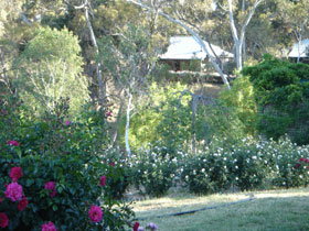 Watervale SA Hotel WA