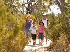 Long Island Caravan Park Cabins - Hotel WA 0