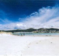 Carmen's Inn - Hotel WA