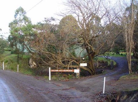 Eaglehawk Neck Backpackers - Hotel WA 1