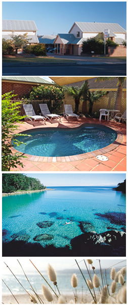 Dolphin Shores Motor Inn - Hotel WA 1