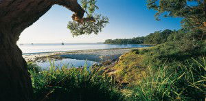 Dolphin Shores Motor Inn - Hotel WA 2