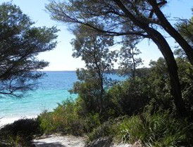 Booderee National Park: Bristol Point Camping Area - Hotel WA 2