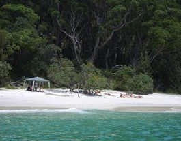 Booderee National Park: Bristol Point Camping Area - Hotel WA 3