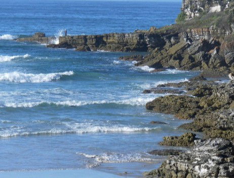 Booderee National Park: Cave Beach Camping Area - Hotel WA 2