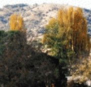 Birches Bed and Breakfast at Nundle - Hotel WA