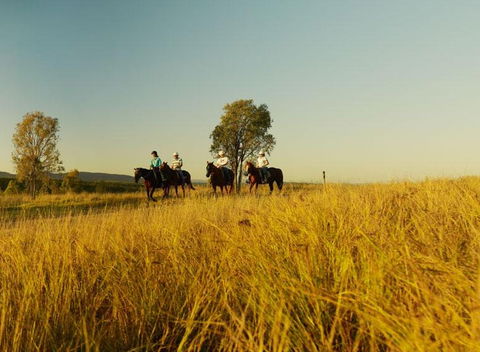 Spicers Hidden Vale - Hotel WA 1