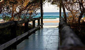 Anchorage Beachfront Island Resort - Hotel WA 4