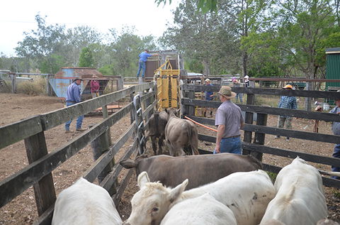 Lee Farmstay - Hotel WA 7
