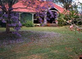 Minmore Farmstay Bed And Breakfast - Hotel WA 0