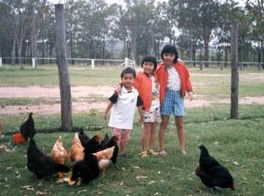 Minmore Farmstay Bed And Breakfast - Hotel WA 1