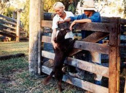 Minmore Farmstay Bed And Breakfast - Hotel WA 2