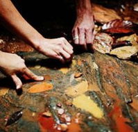Daintree Eco Lodge And Spa - Hotel WA