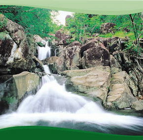 Bay Village Tropical Retreat, Cairns - Hotel WA 2