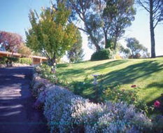 Book Cooma Accommodation Vacations Hotel WA Hotel WA