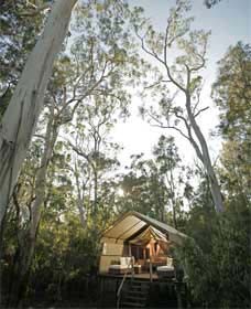 Paperbark Camp - Hotel WA 0