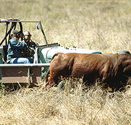Bullo River Station - Hotel WA