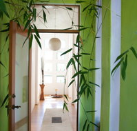 Lumina Interiors 