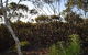 Lions Dryandra Woodlands Village - thumb 0