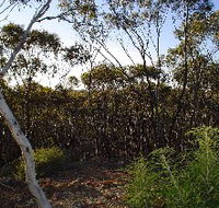 Lions Dryandra Woodlands Village - Hotel WA