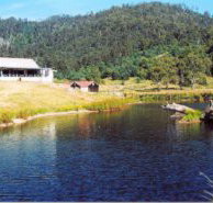 Millybrook Lodge - Hotel WA