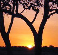 Coodardie Station Stay - Hotel WA