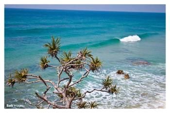 Pacific Horizons Resort - Hotel WA 24