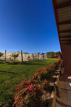 De'Vine Escape - Hotel WA 5