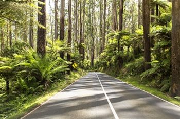 Vibe Hotel Marysville - Hotel WA 19