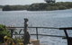 Black Swan Waterfront Motel - thumb 3