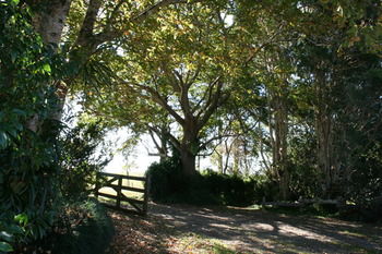 Maleny Mountain Retreat - Hotel WA 2
