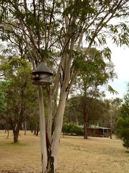 Buffs At Pokolbin - Hotel WA 2