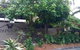 Papillon Coolum - thumb 69