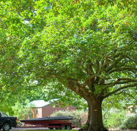 Lakes and Craters Holiday Park - Hotel WA