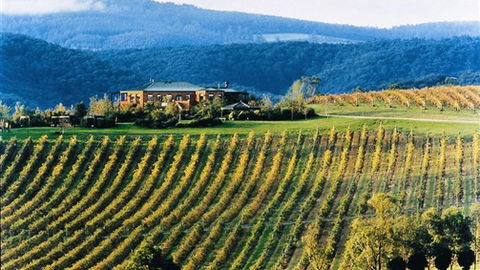 Yering Gorge Cottages - Hotel WA 1