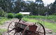 Pennyroyal Raspberry Farm & Cidery - thumb 2