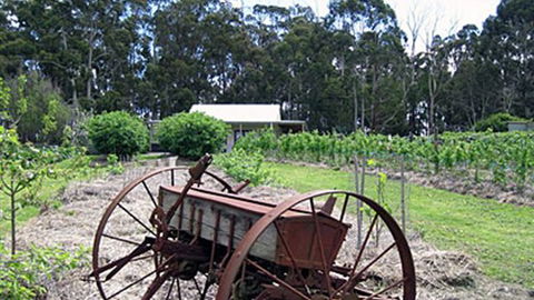 Pennyroyal Raspberry Farm & Cidery - Hotel WA 2