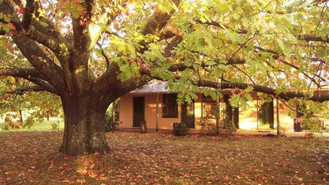 Delatite Station - Hotel WA 3