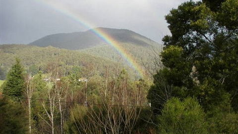 Wattletree Cottage - Hotel WA 0