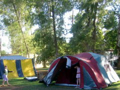 BIG4 Forbes Holiday Park - Hotel WA 2