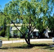 Blue Topaz Caravan Park  Camping Ground - Hotel WA