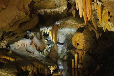 Buchan Caves Reserve - Hotel WA 4